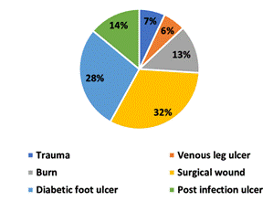 Porcentaje de prevalencia de la herida: 32% herida quirúrgica, 28% úlcera de pie diabético, 14% úlcera postinfección, 7% traumatismo, 6% úlcera venosa de pierna