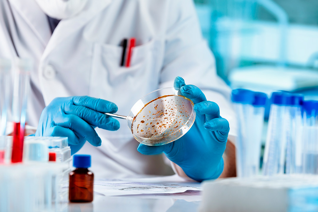 health professional at laboratory doing test. 